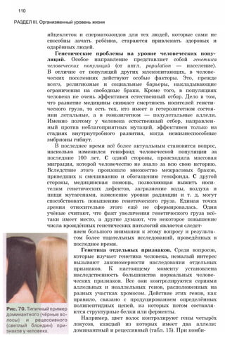 110
РАЗДЕЛ III. Организменный уровень жизни
яйцеклеток и сперматозоидов для тех людей, которые сами не
способны зачать ребёнка, стараются привлекать здоровых и
одарённых людей.
Генетические проблемы на уровне человеческих попу­
ляций. Особое направление представляет собой генетика
человеческих популяций (от англ. population — население).
В отличие от популяций других млекопитающих, в челове­
ческих поселениях действуют особые факторы. Это, прежде
всего, религиозные и социальные барьеры, накладывающие
ограничения на свободные браки. Кроме того, в популяциях
человека не очень эффективен естественный отбор. Дело в том,
что развитие медицины снижает смертность носителей генети­
ческого груза, то есть тех, кто имеет в гетерозиготном состоя­
нии летальные, а в гомозиготном — полулетальные аллели.
Именно поэтому у человека естественный отбор, направлен­
ный против неблагоприятных мутаций, эффективен только на
стадиях внутриутробного развития, когда нежизнеспособные
эмбрионы гибнут.
В последнее время всё более актуальным становится вопрос,
насколько изменился генофонд человеческой популяции за
последние 100 лет. С одной стороны, происходила массовая
миграция, которой человечество не знало за всю свою историю.
Вследствие этого произошло множество межрасовых браков,
приведших к смешиванию и обогащению генофонда. С другой
стороны, медицинская помощь, позволяющая выжить носи­
телям генетических дефектов, загрязнение воды, воздуха и
пищи мутагенами, изменение уровня радиации и т. д. могут
способствовать повышению генетического груза. Единая точка
зрения относительно этого ещё не сформировалась. Одни
учёные считают, что факт увеличения генетического груза всё-
таки имеет место, а другие думают, что некоторое повышение
числа врождённых генетических патологий является следст­
вием большого внимания к этому вопросу и результа­
том более тщательных исследований, проведённых в
последнее время.
Генетика отдельных признаков. Среди вопросов,
которые изучает генетика человека, немалый интерес
вызывают закономерности наследования отдельных
признаков. К настоящему моменту установлена
наследственность большинства нормальных челове­
ческих признаков. Все они контролируются сериями
аллельных и неаллельных генов, расположенных на
разных участках хромосом. Действие этих генов, как
правило, связано с продуцированием определённых
полипептидных цепей, из которых потом составля­
ются структурные белки или ферменты.
Например, цвет волос контролируют гены четырёх
локусов, каждый из которых имеет два аллеля:
доминантный и рецессивный (табл. 15). При комби-
 