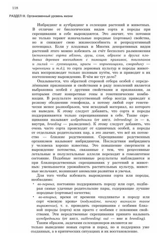 Инбридинг и аутбридинг в селекции растений и животных.
В отличие от биологических видов сорта и породы при
скрещивании в себе вырождаются. Это значит, что потомки
не только теряют изначальные породные (сортовые) свойства,
но и снижают свою жизнеспособность и репродуктивный
потенциал. Если у плодовых и Многих декоративных видов
растений этого можно избежать за счёт бесполого размножения
(вспомните: сорта яблонь, груш, слив, абрикос и других пло­
довых деревьев воссоздают с помощью прививок, тюльпанов
и лилий — луковицами, ирисы — корневищами, смородину —
черенками и т.д.), то сорта зерновых культур и породы живот­
ных воспроизводят только половым путём, что и приводит к их
постепенному вырождению. В чём же тут дело?
Оказывается, что обратной стороной отбора особей с опреде­
лёнными признаками и свойствами в ряду поколений является
выбраковка особей с другими свойствами и признаками, за
которыми стоят конкретные гены и генотипические комби­
нации. В результате искусственный отбор всегда приводит к
резкому обеднению генофонда, а потому любой сорт генети­
чески менее разнообразен, чем исходный материал, из которого
он выведен. К этому следует добавить, что сорта и породы
поддерживаются только скрещиваниями в себе. Такие скре­
щивания называют инбредными (от англ. inbreeding: in — в,
внутри, breeding — разведение). К этому следует добавить, что
очень часто сорта происходят от единичных особей, а породы
от отдельных родительских пар, а это значит, что всё их потом­
ство — близкие родственники. Скрещивание родственных
организмов называют инбридингом. Последствия инбридинга
у человека хорошо известны. Это повышение смертности и
вырождение потомства, связанные с тем, что рецессивные
летальные и полулегальные аллели переходят в гомозиготное
состояние. Подобные негативные результаты наблюдаются и
при близкородственных скрещиваниях у растений и живот­
ных: уменьшается урожайность растительных культур, живот­
ные мельчают, возникают аномалии развития и увечья.
Для того чтобы избежать вырождения сорта или породы,
необходимо:
• во-первых, постоянно поддерживать породу или сорт, подби­
рая самые удачные родительские пары, содержащие лучшие
породные (сортовые) качества;
• во-вторых, время от времени «подливать» в породу или
сорт «свежую кровь» (подумайте, почему возникло такое
выражение), т. е. проводить скрещивания с особями близ­
кой породы (сорта) или просто с особями с похожими свой­
ствами. Эти неродственные скрещивания принято называть
аутбредными (от англ. outbreeding: out — вне и breeding).
Таким образом, задачами селекционеров являются не
только выведение новых сортов и пород, но и поддержка уже
созданных, а в критических ситуациях и их восстановление.
118
РАЗДЕЛ III. Организменный уровень жизни
 