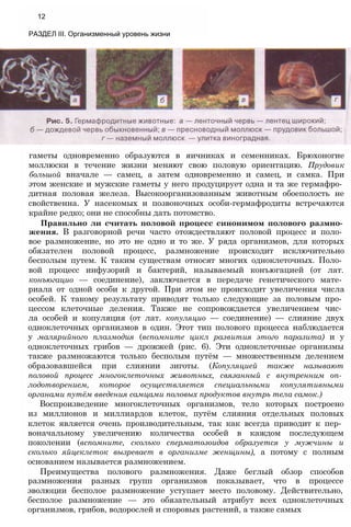 12
РАЗДЕЛ III. Организменный уровень жизни
гаметы одновременно образуются в яичниках и семенниках. Брюхоногие
моллюски в течение жизни меняют свою половую ориентацию. Прудовик
большой вначале — самец, а затем одновременно и самец, и самка. При
этом женские и мужские гаметы у него продуцирует одна и та же гермафро­
дитная половая железа. Высокоорганизованным животным обоеполость не
свойственна. У насекомых и позвоночных особи-гермафродиты встречаются
крайне редко; они не способны дать потомство.
Правильно ли считать половой процесс синонимом полового размно­
жения. В разговорной речи часто отождествляют половой процесс и поло­
вое размножение, но это не одно и то же. У ряда организмов, для которых
обязателен половой процесс, размножение происходит исключительно
бесполым путем. К таким существам относят многих одноклеточных. Поло­
вой процесс инфузорий и бактерий, называемый конъюгацией (от лат.
конъюгацио — соединение), заключается в передаче генетического мате­
риала от одной особи к другой. При этом не происходит увеличения числа
особей. К такому результату приводят только следующие за половым про­
цессом клеточные деления. Также не сопровождается увеличением чис­
ла особей и копуляция (от лат. копуляцио — соединение) — слияние двух
одноклеточных организмов в один. Этот тип полового процесса наблюдается
у малярийного плазмодия (вспомните цикл развития этого паразита) и у
одноклеточных грибов — дрожжей (рис. 6). Эти одноклеточные организмы
также размножаются только бесполым путём — множественным делением
образовавшейся при слиянии зиготы. (Копуляцией также называют
половой процесс многоклеточных животных, связанный с внутренним оп­
лодотворением, которое осуществляется специальными копулятивными
органами путём введения самцами половых продуктов внутрь тела самок.)
Воспроизведение многоклеточных организмов, тело которых построено
из миллионов и миллиардов клеток, путём слияния отдельных половых
клеток является очень производительным, так как всегда приводит к пер­
воначальному увеличению количества особей в каждом последующем
поколении (вспомните, сколько сперматозоидов образуется у мужчины и
сколько яйцеклеток вызревает в организме женщины), а потому с полным
основанием называется размножением.
Преимущества полового размножения. Даже беглый обзор способов
размножения разных групп организмов показывает, что в процессе
эволюции бесполое размножение уступает место половому. Действительно,
бесполое размножение — это обязательный атрибут всех одноклеточных
организмов, грибов, водорослей и споровых растений, а также самых
 