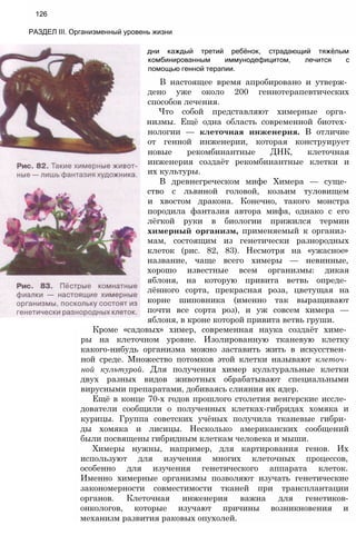 дни каждый третий ребёнок, страдающий тяжёлым
комбинированным иммунодефицитом, лечится с
помощью генной терапии.
В настоящее время апробировано и утверж­
дено уже около 200 геннотерапевтических
способов лечения.
Что собой представляют химерные орга­
низмы. Ещё одна область современной биотех­
нологии — клеточная инженерия. В отличие
от генной инженерии, которая конструирует
новые рекомбинантные ДНК, клеточная
инженерия создаёт рекомбинантные клетки и
их культуры.
В древнегреческом мифе Химера — суще­
ство с львиной головой, козьим туловищем
и хвостом дракона. Конечно, такого монстра
породила фантазия автора мифа, однако с его
лёгкой руки в биологии прижился термин
химерный организм, применяемый к организ­
мам, состоящим из генетически разнородных
клеток (рис. 82, 83). Несмотря на «ужасное»
название, чаще всего химеры — невинные,
хорошо известные всем организмы: дикая
яблоня, на которую привита ветвь опреде­
лённого сорта, прекрасная роза, цветущая на
корне шиповника (именно так выращивают
почти все сорта роз), и уж совсем химера —
яблоня, в кроне которой привита ветвь груши.
Кроме «садовых» химер, современная наука создаёт химе­
ры на клеточном уровне. Изолированную тканевую клетку
какого-нибудь организма можно заставить жить в искусствен­
ной среде. Множество потомков этой клетки называют клеточ­
ной культурой. Для получения химер культуральные клетки
двух разных видов животных обрабатывают специальными
вирусными препаратами, добиваясь слияния их ядер.
Ещё в конце 70-х годов прошлого столетия венгерские иссле­
дователи сообщили о полученных клетках-гибридах хомяка и
курицы. Группа советских учёных получила тканевые гибри­
ды хомяка и лисицы. Несколько американских сообщений
были посвящены гибридным клеткам человека и мыши.
Химеры нужны, например, для картирования генов. Их
используют для изучения многих клеточных процессов,
особенно для изучения генетического аппарата клеток.
Именно химерные организмы позволяют изучать генетические
закономерности совместимости тканей при трансплантации
органов. Клеточная инженерия важна для генетиков-
онкологов, которые изучают причины возникновения и
механизм развития раковых опухолей.
126
РАЗДЕЛ III. Организменный уровень жизни
 