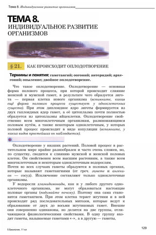 Оплодотворение у низших растений. Половой процесс в рас­
тительном мире крайне разнообразен и часто очень сложен, но,
по существу, сводится к слиянию мужской и женской половых
клеток. Он свойственен всем высшим растениям, а также всем
многоклеточным и некоторым одноклеточным водорослям.
Почти во всех случаях гаметы образуются в половых органах,
которые называют гаметангиями (от греч. гамете и ангени-
он — сосуд). Исключение составляют только одноклеточные
организмы.
У водоросли хламидомонады, как и у любого другого одно­
клеточного организма, не могут образоваться настоящие
половые органы (подумайте почему). Поэтому она сама стано­
вится гаметангием. При этом клетка теряет жгутики и в ней
происходит ряд последовательных митозов, которые ведут к
образованию от двух до восьми жгутиковых гамет. Внешне
они совершенно одинаковы, но делятся на две группы, отли­
чающиеся физиологическими свойствами. В одну группу вхо­
дят гаметы, называемые гаметами «-», а в другую — гаметы,
129
5 Биология, 11 кл
Термины и понятия: гаметангий; оогоний; антеридий; архе-
гоний; опыление; двойное оплодотворение.
Что такое оплодотворение. Оплодотворение — основная
форма полового процесса, при которой происходит слияние
женской и мужской гамет, в результате чего образуется зиго­
та — первая клетка нового организма (вспомните, какая
ещё форма полового процесса существует у одноклеточных
существ). При этом диплоидное ядро зиготы формируется из
двух гаплоидных ядер гамет, а её цитоплазма почти полностью
образуется из цитоплазмы яйцеклетки. Оплодотворение свой­
ственно всем многоклеточным организмам, размножающимся
половым путём, а также некоторым одноклеточным, у которых
половой процесс происходит в виде копуляции (вспомните, у
каких видов простейших он наблюдается).
КАК ПРОИСХОДИТ ОПЛОДОТВОРЕНИЕ
Тема 8. Индивидуальное развитие организмов______________________________________________
ТЕМА8.
ИНДИВИДУАЛЬНОЕ РАЗВИТИЕ
ОРГАНИЗМОВ
 