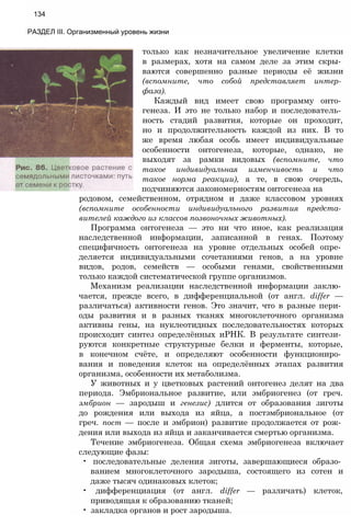 134
РАЗДЕЛ III. Организменный уровень жизни
только как незначительное увеличение клетки
в размерах, хотя на самом деле за этим скры­
ваются совершенно разные периоды её жизни
(вспомните, что собой представляет интер­
фаза).
Каждый вид имеет свою программу онто­
генеза. И это не только набор и последователь­
ность стадий развития, которые он проходит,
но и продолжительность каждой из них. В то
же время любая особь имеет индивидуальные
особенности онтогенеза, которые, однако, не
выходят за рамки видовых (вспомните, что
такое индивидуальная изменчивость и что
такое норма реакции), а те, в свою очередь,
подчиняются закономерностям онтогенеза на
родовом, семейственном, отрядном и даже классовом уровнях
(вспомните особенности индивидуального развития предста­
вителей каждого из классов позвоночных животных).
Программа онтогенеза — это ни что иное, как реализация
наследственной информации, записанной в генах. Поэтому
специфичность онтогенеза на уровне отдельных особей опре­
деляется индивидуальными сочетаниями генов, а на уровне
видов, родов, семейств — особыми генами, свойственными
только каждой систематической группе организмов.
Механизм реализации наследственной информации заклю­
чается, прежде всего, в дифференциальной (от англ. differ —
различаться) активности генов. Это значит, что в разные пери­
оды развития и в разных тканях многоклеточного организма
активны гены, на нуклеотидных последовательностях которых
происходит синтез определённых иРНК. В результате синтези­
руются конкретные структурные белки и ферменты, которые,
в конечном счёте, и определяют особенности функциониро­
вания и поведения клеток на определённых этапах развития
организма, особенности их метаболизма.
У животных и у цветковых растений онтогенез делят на два
периода. Эмбриональное развитие, или эмбриогенез (от греч.
эмбрион — зародыш и генезис) длится от образования зиготы
до рождения или выхода из яйца, а постэмбриональное (от
греч. пост — после и эмбрион) развитие продолжается от рож­
дения или выхода из яйца и заканчивается смертью организма.
Течение эмбриогенеза. Общая схема эмбриогенеза включает
следующие фазы:
• последовательные деления зиготы, завершающиеся образо­
ванием многоклеточного зародыша, состоящего из сотен и
даже тысяч одинаковых клеток;
• дифференциация (от англ. differ — различать) клеток,
приводящая к образованию тканей;
• закладка органов и рост зародыша.
 