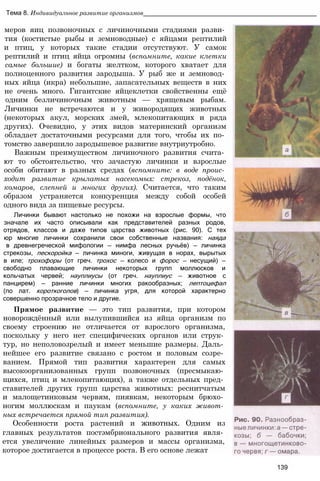 Тема 8. Индивидуальное развитие организмов_________________________________________________
меров яиц позвоночных с личиночными стадиями разви­
тия (костистые рыбы и земноводные) с яйцами рептилий
и птиц, у которых такие стадии отсутствуют. У самок
рептилий и птиц яйца огромны (вспомните, какие клетки
самые большие) и богаты желтком, которого хватает для
полноценного развития зародыша. У рыб же и земновод­
ных яйца (икра) небольшие, запасательных веществ в них
не очень много. Гигантские яйцеклетки свойственны ещё
одним безличиночным животным — хрящевым рыбам.
Личинки не встречаются и у живородящих животных
(некоторых акул, морских змей, млекопитающих и ряда
других). Очевидно, у этих видов материнский организм
обладает достаточными ресурсами для того, чтобы их по­
томство завершило зародышевое развитие внутриутробно.
Важным преимуществом личиночного развития счита­
ют то обстоятельство, что зачастую личинки и взрослые
особи обитают в разных средах (вспомните: в воде проис­
ходит развитие крылатых насекомых: стрекоз, подёнок,
комаров, слепней и многих других). Считается, что таким
образом устраняется конкуренция между собой особей
одного вида за пищевые ресурсы.
Личинки бывают настолько не похожи на взрослые формы, что
значале их часто описывали как представителей разных родов,
отрядов, классов и даже типов царства животных (рис. 90). С тех
юр многие личинки сохранили свои собственные названия: наяда
в древнегреческой мифологии — нимфа лесных ручьёв) — личинка
стрекозы, пескоройка — личинка миноги, живущая в норах, вырытых
в иле; трохофоры (от греч. трохос — колесо и форос — несущий) —
свободно плавающие личинки некоторых групп моллюсков и
кольчатых червей; науплиусы (от греч. науплиус — животное с
панцирем) — ранние личинки многих ракообразных; лептоцефал
(по лат. короткоголов) — личинка угря, для которой характерно
совершенно прозрачное тело и другие.
Прямое развитие — это тип развития, при котором
новорождённый или вылупившийся из яйца организм по
своему строению не отличается от взрослого организма,
поскольку у него нет специфических органов или струк­
тур, но неполовозрелый и имеет меньшие размеры. Даль­
нейшее его развитие связано с ростом и половым созре­
ванием. Прямой тип развития характерен для самых
высокоорганизованных групп позвоночных (пресмыкаю­
щихся, птиц и млекопитающих), а также отдельных пред­
ставителей других групп царства животных: реснитчатым
и малощетинковым червям, пиявкам, некоторым брюхо­
ногим моллюскам и паукам (вспомните, у каких живот­
ных встречается прямой тип развития).
Особенности роста растений и животных. Одним из
главных результатов постэмбрионального развития явля­
ется увеличение линейных размеров и массы организма,
которое достигается в процессе роста. В его основе лежат
139
 