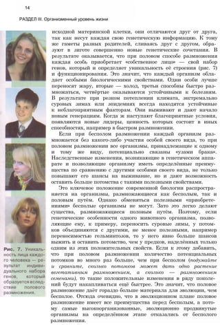 14
РАЗДЕЛ III. Организменный уровень жизни
исходной материнской клетки, они отличаются друг от друга,
так как несут каждая свою генетическую информацию. К тому
же гаметы разных родителей, сливаясь друг с другом, обра­
зуют в зиготе совершенно новые генетические сочетания. В
результате оказывается, что при половом способе размножения
каждая особь приобретает «собственное лицо» — свой набор
генов, который и определяет уникальность её строения (рис. 7)
и функционирования. Это значит, что каждый организм обла­
дает особыми биологическими свойствами. Одни особи лучше
переносят жару, вторые — холод, третьи способны быстро раз­
множаться, четвёртые оказываются устойчивыми к болезням.
В результате при резком потеплении климата, экстремально
суровых зимах или эпидемиях всегда находятся устойчивые
к неблагоприятным факторам. Они выживают и дают начало
новым генерациям. Когда ж наступают благоприятные условия,
появляются новые лидеры, ценность которых состоит в иных
способностях, например в быстром размножении.
Если при бесполом размножении каждый организм раз­
множается без какого-либо участия особей своего вида, то при
половом размножении все организмы, принадлежащие к одному
и тому же виду, потенциально связаны «узами брака».
Наследственные изменения, возникающие в генетическом аппа­
рате и позволяющие организму иметь определённые преиму­
щества по сравнению с другими особями своего вида, не только
повышают его шансы на выживание, но и дают возможность
оставить больше потомства с такими полезными свойствами.
Это ключевое положение современной биологии распростра­
няется на организмы, размножающиеся как бесполым, так и
половым путём. Однако обменяться полезными «приобрете­
ниями» бесполые организмы не могут. Зато это легко делают
существа, размножающиеся половым путём. Поэтому, если
генетические особенности одного животного организма, позво­
ляющие ему, к примеру, переносить суровые зимы, у потом­
ков объединяются с другими, не менее полезными, например
переносимостью гельминтозов, то у него явно больше шансов
выжить и оставить потомство, чем у предков, наделённых только
одним из этих положительных свойств. Если к этому добавить,
что при половом размножении количество потенциальных
потомков во много раз больше, чем при бесполом (подумайте
и сравните, сколько потомков может дать одно растение
вегетативным размножением, а сколько — размножением
семенами), то такие положительные изменения в ряду поколе­
ний будут накапливаться ещё быстрее. Это значит, что половое
размножение даёт гораздо больше материала для эволюции, чем
бесполое. Отсюда очевидно, что в эволюционном плане половое
размножение имеет все преимущества перед бесполым, а пото­
му самые высокоорганизованные, эволюционно продвинутые
организмы на определённом этапе отказались от бесполого
размножения.
 