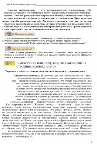 Термины и понятия: гаметогенез; оогенез (овогенез); сперматогенез.
Понятие гаметогенеза. Гаметогенез (от греч. гамете и генезис — про­
исхождение, зарождение, развитие), или предзародышевое разви­
тие — процесс созревания половых клеток. Эта стадия обязательна -для
всех многоклеточных организмов и некоторых простейших (вспомни-
те. у каких простейших имеет место копуляция). Развитие женских
половых клеток отличается от развития мужских половых клеток и у
многоклеточных организмов протекает в соответствующих половых
органах. Поскольку созревание яйцеклеток и сперматозоидов име-
ет свои особенности, принято различать эти процессы. Развитие жен-
ских гамет называют оогенезом, или овогенезом (от греч. оон — яйцо
и генезис), а мужских — сперматогенезом (от греч. сперматос — и генезис).
Как устроены гаметы. Женские гаметы — яйцеклетки — один из очень
немногих типов клеток многоклеточных животных, имеющих идеальную
шарообразную форму. Они неподвижны. Это самые крупные клетки. Обычно
их диаметр составляет доли миллиметра. Но бывают и клетки-великаны.
Диаметр яйцевой клетки сельдевой акулы, например, равен 22 сантиметрам.
Самой большой яйцеклеткой и одновременно клеткой вообще организма,
ныне живущего на Земле, считается желток яйца африканского страуса (масса
яиц этой птицы колеблется от 1,5 до 2 килограммов. Крупные яйцеклетки —
отличительная черта позвоночных животных: рыб, земноводных, рептилий
и особенно птиц. У млекопитающих они относительно небольшие. Яйцеклет-
ка человека всего 0,2 мм в диаметре. Гигантские размеры женских половых
клеток обусловлены тем, что в их цитоплазме находится много запасательного
вещества — желтка (рис. 8).
15
ГАМЕТОГЕНЕЗ, ИЛИ ПРЕДЗАРОДЫШЕВОЕ РАЗВИТИЕ.
СТРОЕНИЕ ПОЛОВЫХ КЛЕТОК
1. Почему у самых примитивных многоклеточных организмов гаметы не разделены на
мужские и женские? 2. Почему у животных в процессе мейотических делений образуются
гаметы, а у растений — споры?
• Что такое половое размножение? 2. В чём состоят особенности гермафродитиз-
мa плоских червей и брюхоногих моллюсков? 3. Всегда ли половой процесс связан с
половым размножением?4. В чём преимущества полового размножения над бесполым?
Половое размножение — это воспроизведение организмами себе
подобных организмов с помощью гамет, сопровождающееся половым про­
цессом. Половое размножение встречается только у многоклеточных орга­
низмов, имеющих две фазы — гаплоидную и диплоидную. Преимущества
этого способа размножения над бесполым связаны с тем, что потомство
получает разнообразные свойства, которые существенно повышают устой­
чивость вида к изменчивым и неблагоприятным условиям среды обитания
и даёт гораздо больше исходного материала для эволюции.
Тема 4. Размножение организмов_________________________________________________________
 