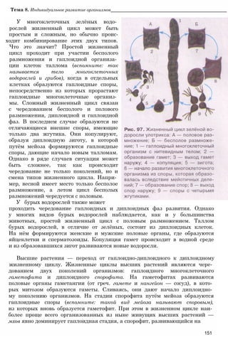 Тема 8. Индивидуальное развитие организмов______________________________________________
У многоклеточных зелёных водо­
рослей жизненный цикл может быть
простым и сложным, но обычно проис-
ходит комбинирование этих двух типов.
Что это значит? Простой жизненный
цикл проходит при участии бесполого
размножения и гаплоидной организа­
ции клеток таллома (вспомните: так
называется тело многоклеточных
водорослей и грибов), когда в отдельных
клетках образуются гаплоидные споры,
непосредственно из которых прорастают
гаплоидные многоклеточные организ­
мы. Сложный жизненный цикл связан
с чередованием бесполого и полового
размножения, диплоидной и гаплоидной
фаз. В последнем случае образуются не
отличающиеся внешне споры, имеющие
только два жгутика. Они копулируют,
образуя диплоидную зиготу, в которой
путём мейоза формируются гаплоидные
споры, дающие начало новым талломам.
Однако в ряде случаев ситуация может
быть сложнее, так как происходит
чередование не только поколений, но и
смена типов жизненного цикла. Напри­
мер, весной имеет место только бесполое
размножение, а летом цикл бесполых
размножений чередуется с половым.
У бурых водорослей также может
проходить чередование гаплоидных и диплоидных фаз развития. Однако
у многих видов бурых водорослей наблюдается, как и у большинства
животных, простой жизненный цикл с половым размножением. Таллом
бурых водорослей, в отличие от зелёных, состоит из диплоидных клеток.
На нём формируются женские и мужские половые органы, где образуются
яйцеклетки и сперматозоиды. Копуляция гамет происходит в водной среде
и из образовавшихся зигот развиваются новые водоросли.
Высшие растения — переход от гаплоидно-диплоидного к диплоидному
жизненному циклу. Жизненные циклы высших растений являются чере­
дованием двух поколений организмов: гаплоидного многоклеточного
гаметофита и диплоидного спорофита. На гаметофитах развиваются
половые органы гаметангии (от греч. гамете и нангейон — сосуд), в кото­
рых митозом образуются гаметы. Сливаясь, они дают начало диплоидно­
му поколению организмов. На стадии спорофита путём мейоза образуются
гаплоидные споры (вспомните: такой вид мейоза называют споровым),
из которых вновь образуется гаметофит. При этом в жизненном цикле наи­
более проще всего организованных из ныне живущих высших растений —
мхов явно доминирует гаплоидная стадия, а спорофит, развивающийся на
151
 