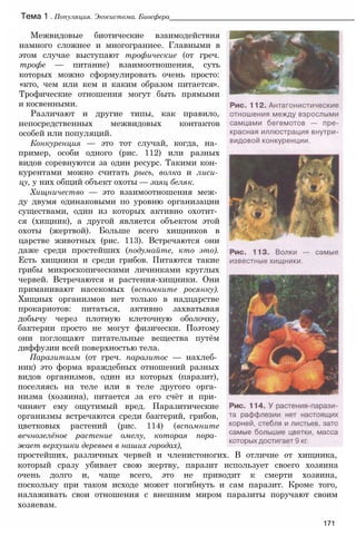 Тема 1 . Популяция. Экосистема. Биосфера_______________________________________________
Межвидовые биотические взаимодействия
намного сложнее и многограннее. Главными в
этом случае выступают трофические (от греч.
трофе — питание) взаимоотношения, суть
которых можно сформулировать очень просто:
«кто, чем или кем и каким образом питается».
Трофические отношения могут быть прямыми
и косвенными.
Различают и другие типы, как правило,
непосредственных межвидовых контактов
особей или популяций.
Конкуренция — это тот случай, когда, на­
пример, особи одного (рис. 112) или разных
видов соревнуются за один ресурс. Такими кон­
курентами можно считать рысь, волка и лиси­
цу, у них общий объект охоты — заяц беляк.
Хищничество — это взаимоотношения меж­
ду двумя одинаковыми по уровню организации
существами, один из которых активно охотит­
ся (хищник), а другой является объектом этой
охоты (жертвой). Больше всего хищников в
царстве животных (рис. 113). Встречаются они
даже среди простейших (подумайте, кто это).
Есть хищники и среди грибов. Питаются такие
грибы микроскопическими личинками круглых
червей. Встречаются и растения-хищники. Они
приманивают насекомых (вспомните росянку).
Хищных организмов нет только в надцарстве
прокариотов: питаться, активно захватывая
добычу через плотную клеточную оболочку,
бактерии просто не могут физически. Поэтому
они поглощают питательные вещества путём
диффузии всей поверхностью тела.
Паразитизм (от греч. паразитос — нахлеб­
ник) это форма враждебных отношений разных
видов организмов, один из которых (паразит),
поселяясь на теле или в теле другого орга­
низма (хозяина), питается за его счёт и при­
чиняет ему ощутимый вред. Паразитические
организмы встречаются среди бактерий, грибов,
цветковых растений (рис. 114) (вспомните
вечнозелёное растение омелу, которая пора­
жает верхушки деревьев в наших городах),
простейших, различных червей и членистоногих. В отличие от хищника,
который сразу убивает свою жертву, паразит использует своего хозяина
очень долго и, чаще всего, это не приводит к смерти хозяина,
поскольку при таком исходе может погибнуть и сам паразит. Кроме того,
налаживать свои отношения с внешним миром паразиты поручают своим
хозяевам.
171
 