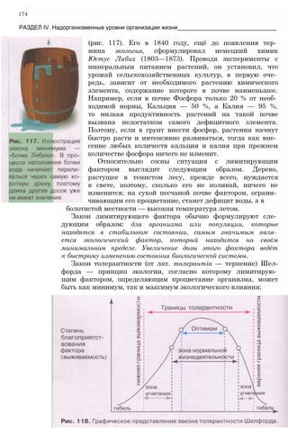 174
РАЗДЕЛ IV. Надорганизменные уровни организации жизни_______________________________
(рис. 117). Его в 1840 году, ещё до появления тер­
мина экология, сформулировал немецкий химик
Юстус Либих (1803—1873). Проводя эксперименты с
минеральным питанием растений, он установил, что
урожай сельскохозяйственных культур, в первую оче­
редь, зависит от необходимого растению химического
элемента, содержание которого в почве наименьшее.
Например, если в почве Фосфора только 20 % от необ­
ходимой нормы, Кальция — 50 %, а Калия — 95 %,
то низкая продуктивность растений на такой почве
вызвана недостатком самого дефицитного элемента.
Поэтому, если в грунт внести фосфор, растения начнут
быстро расти и интенсивно развиваться, тогда как вне­
сение любых количеств кальция и калия при прежнем
количестве фосфора ничего не изменит.
Относительно сосны ситуация с лимитирующим
фактором выглядит следующим образом. Дерево,
растущее в тенистом лесу, прежде всего, нуждается
в свете, поэтому, сколько его не поливай, ничего не
изменится; на сухой песчаной почве фактором, ограни­
чивающим его процветание, станет дефицит воды, а в
болотистой местности — высокая температура летом.
Закон лимитирующего фактора обычно формулируют сле­
дующим образом: для организма или популяции, которые
находятся в стабильном состоянии, самым значимым явля­
ется экологический фактор, который находится на своём
минимальном пределе. Увеличение дозы этого фактора ведёт
к быстрому изменению состояния биологической системы.
Закон толерантности (от лат. толерантіа — терпение) Шел-
форда — принцип экологии, согласно которому лимитирую­
щим фактором, определяющим процветание организма, может
быть как минимум, так и максимум экологического влияния;
 