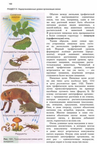 Обычно между звеньями трофической
цепи не выстраиваются единичные
связи, так как, например, один и тот
же вид растений может быть объектом
питания разных видов животных, а
какой-нибудь вид животных питаться
растительной и животной пищей.
В результате пищевая цепь превращается
в более сложную структуру — пищевую
(трофическую) сеть.
Таким образом, даже самая про­
сто устроенная пищевая цепь состо­
ит из нескольких трофических уров­
ней. Первый трофический уровень
формируют зелёные растения (проду­
центы); второй занимают животные,
питающиеся растениями (консументы
первого порядка); третий уровень пред­
ставляют хищники, поедающие расти­
тельноядных животных. Четвёртый и
пятый трофические уровни, которые
встречаются не так уж часто, — это
крупные хищники, жертвами которых
становятся более мелкие хищники.
Пищевые цепи. Пищевые цепи делят
на два типа: цепи выедания (рис. 131)
и цепи разложения (рис. 132). Типич­
ную трофическую цепь выедания можно
легко проиллюстрировать на примере
пастбища лугового типа (форзац I). Её
основу составляют автотрофные организ­
мы — травянистые растения и их семена,
которые поедаются растительноядными
и семеноядными животными (насекомы­
ми, птицами, грызунами, копытными).
Они, в свою очередь, служат объектами
питания сов, ястребов, хорьков, лисиц,
волков. Многие хищники и сами ста­
новятся объектами охоты: волки часто
поедают лисиц, а филины добывают
ласок, горностаев и мелких сов.
Очень длинные цепи выедания в океа­
нических экосистемах, в которых всегда
есть консументы четвёртого порядка
и даже могут встречаться консументы
пятого порядка. Основу этих цепей также
составляют автотрофные организмы, на
этот раз — одноклеточные водоросли,
которые парят в толще воды (их назы-
190
РАЗДЕЛ IV. Надорганизменные уровни организации жизни
 