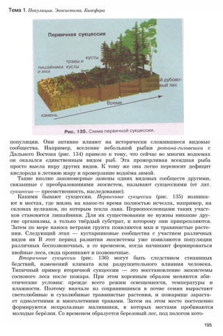 популяции. Они активно влияют на исторически сложившиеся видовые
сообщества. Например, вселение небольшой рыбки ротана-головешки с
Дальнего Востока (рис. 134) привело к тому, что сейчас во многих водоемах
он оказался единственным видом рыб. Эта прожорливая всеядная рыба
просто выела икру других видов. К тому же она легко переносит дефицит
кислорода в летнюю жару и промерзание водоёма зимой.
Такие вполне закономерные замены одних видовых сообществ другими,
связанные с преобразованиями экосистем, называют сукцессиями (от лат.
сукиессио — преемственность, наследование).
Какими бывают сукцессии. Первичные сукцессии (рис. 135) возника­
ют в местах, где жизнь на какое-то время полностью исчезла, например, на
склонах вулканов, по которым текла лава. Первопоселенцами таких участ­
ков становятся лишайники. Для их существования не нужны никакие дру­
гие организмы, а только твёрдый субстрат, к которому они прикрепляются.
Затем по мере наноса ветрами грунта появляются мхи и травянистые расте­
ния. Следующий этап — кустарниковые сообщества с участием различных
видов ив В этот период развития экосистемы уже появляются популяции
различных беспозвоночных, а со временем, когда начинают формироваться
хвойные леса, сюда проникают и позвоночные.
Вторичные сукцессии (рис. 136) могут быть следствием стихииных
бедствий, изменений климата или разрушительного влияния человека.
Типичный пример вторичной сукцессии — это восстановление экосистемы
соснового леса после пожара. При этом коренным образом меняются аби­
отические условия: прежде всего режим освещенности, температуры и
влажности. Поэтому вначале из сохранившихся в почве семян вырастают
светолюбивые и сухолюбивые травянистые растения, и пожарище зараста­
ет однолетними и многолетними травами. Затем на этом месте постепенно
формируются непролазные малинники, в которых местами пробиваются
молодые берёзки. Со временем образуется березовый лес, под пологом кото-
195
Тема 1. Популяция. Экосистема. Биосфера
 