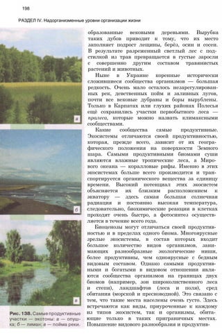образованные вековыми деревьями. Вырубка
таких дубов приводит к тому, что их место
заполняет подрост лещины, берёз, осин и сосен.
В результате разреженный светлый лес с под­
стилкой из трав превращается в густые заросли
с совершенно другим составом травянистых
растений и животных.
Ныне в Украине коренные исторически
сложившиеся сообщества организмов — большая
редкость. Очень мало осталось незарегулирован-
ных рек, девственных пойм и заливных лугов,
почти все вековые дубравы и боры вырублены.
Только в Карпатах или глухих районах Полесья
ещё сохранились участки первобытного леса —
пралеса, которые можно назвать климаксными
сообществами.
Какие сообщества самые продуктивные.
Экосистемы отличаются своей продуктивностью,
которая, прежде всего, зависит от их геогра­
фического положения на поверхности Земного
шара. Самыми продуктивными биомами суши
являются влажные тропические леса, а Миро­
вого океана — коралловые рифы. Именно в этих
экосистемах больше всего производится и тран­
спортируется органического вещества за единицу
времени. Высокий потенциал этих экосистем
объясняется их близким расположением к
экватору — здесь самая большая солнечная
радиация и постоянно высокая температура,
следовательно, биохимические реакции в клетках
проходят очень быстро, а фотосинтез осуществ­
ляется в течение всего года.
Биоценозы могут отличаться своей продуктив­
ностью и в пределах одного биома. Многоярусные
зрелые экосистемы, в состав которых входит
большое количество видов организмов, зани­
мающих разнообразные экологические ниши,
более продуктивны, чем одноярусные с бедным
видовым составом. Однако самыми продуктив­
ными и богатыми в видовом отношении явля­
ются сообщества организмов на границах двух
биомов (например, зон широколиственного леса
и степи), ландшафтов (леса и поля), сред
обитания (морской и пресноводной). Это связано с
тем, что такие места населены очень густо. Здесь
встречаются как виды, приуроченные к каждому
из типов экосистем, так и организмы, обита­
ющие только в таких приграничных местах.
Повышение видового разнообразия и продуктив-
198
РАЗДЕЛ IV. Надорганизменные уровни организации жизни
 