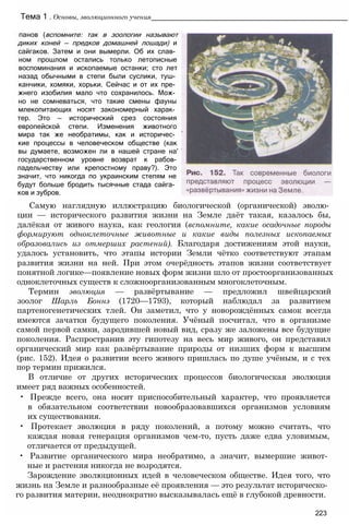 Тема 1 . Основы, эволюционного учения___________________________________________________
панов (вспомните: так в зоологии называют
диких коней — предков домашней лошади) и
сайгаков. Затем и они вымерли. Об их слав­
ном прошлом остались только летописные
воспоминания и ископаемые останки; сто лет
назад обычными в степи были суслики, туш­
канчики, хомяки, хорьки. Сейчас и от их пре­
жнего изобилия мало что сохранилось. Мож­
но не сомневаться, что такие смены фауны
млекопитающих носят закономерный харак­
тер. Это — исторический срез состояния
европейской степи. Изменения животного
мира так же необратимы, как и историчес­
кие процессы в человеческом обществе (как
вы думаете, возможен ли в нашей стране на'
государственном уровне возврат к рабов-
ладельчеству или крепостному праву?). Это
значит, что никогда по украинским степям не
будут больше бродить тысячные стада сайга­
ков и зубров.
Самую наглядную иллюстрацию биологической (органической) эволю­
ции — исторического развития жизни на Земле даёт такая, казалось бы,
далёкая от живого наука, как геология (вспомните, какие осадочные породы
формируют одноклеточные животные и какие виды полезных ископаемых
образовались из отмерших растений). Благодаря достижениям этой науки,
удалось установить, что этапы истории Земли чётко соответствуют этапам
развития жизни на ней. При этом очерёдность этапов жизни соответствует
понятной логике—появление новых форм жизни шло от простоорганизованных
одноклеточных существ к сложноорганизованным многоклеточным.
Термин эволюция — развёртывание — предложил швейцарский
зоолог Шарль Боннэ (1720—1793), который наблюдал за развитием
партеногенетических тлей. Он заметил, что у новорождённых самок всегда
имеются зачатки будущего поколения. Учёный посчитал, что в организме
самой первой самки, зародившей новый вид, сразу же заложены все будущие
поколения. Распространив эту гипотезу на весь мир живого, он представил
органический мир как развёртывание природы от низших форм к высшим
(рис. 152). Идея о развитии всего живого пришлась по душе учёным, и с тех
пор термин прижился.
В отличие от других исторических процессов биологическая эволюция
имеет ряд важных особенностей.
• Прежде всего, она носит приспособительный характер, что проявляется
в обязательном соответствии новообразовавшихся организмов условиям
их существования.
• Протекает эволюция в ряду поколений, а потому можно считать, что
каждая новая генерация организмов чем-то, пусть даже едва уловимым,
отличается от предыдущей.
• Развитие органического мира необратимо, а значит, вымершие живот­
ные и растения никогда не возродятся.
Зарождение эволюционных идей в человеческом обществе. Идея того, что
жизнь на Земле и разнообразные её проявления — это результат историческо­
го развития материи, неоднократно высказывалась ещё в глубокой древности.
223
 