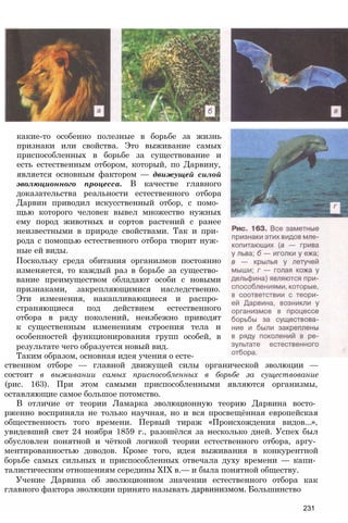 какие-то особенно полезные в борьбе за жизнь
признаки или свойства. Это выживание самых
приспособленных в борьбе за существование и
есть естественным отбором, который, по Дарвину,
является основным фактором — движущей силой
эволюционного процесса. В качестве главного
доказательства реальности естественного отбора
Дарвин приводил искусственный отбор, с помо­
щью которого человек вывел множество нужных
ему пород животных и сортов растений с ранее
неизвестными в природе свойствами. Так и при­
рода с помощью естественного отбора творит нуж­
ные ей виды.
Поскольку среда обитания организмов постоянно
изменяется, то каждый раз в борьбе за существо­
вание преимуществом обладают особи с новыми
признаками, закрепляющимися наследственно.
Эти изменения, накапливающиеся и распро­
страняющиеся под действием естественного
отбора в ряду поколений, неизбежно приводят
к существенным изменениям строения тела и
особенностей функционирования групп особей, в
результате чего образуется новый вид.
Таким образом, основная идея учения о есте­
ственном отборе — главной движущей силы органической эволюции —
состоит в выживании самых приспособленных в борьбе за существование
(рис. 163). При этом самыми приспособленными являются организмы,
оставляющие самое большое потомство.
В отличие от теории Ламарка эволюционную теорию Дарвина восто­
рженно восприняла не только научная, но и вся просвещённая европейская
общественность того времени. Первый тираж «Происхождения видов...»,
увидевший свет 24 ноября 1859 г., разошёлся за несколько дней. Успех был
обусловлен понятной и чёткой логикой теории естественного отбора, аргу­
ментированностью доводов. Кроме того, идея выживания в конкурентной
борьбе самых сильных и приспособленных отвечала духу времени — капи­
талистическим отношениям середины XIX в.— и была понятной обществу.
Учение Дарвина об эволюционном значении естественного отбора как
главного фактора эволюции принято называть дарвинизмом. Большинство
231
 