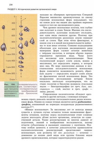 234
РАЗДЕЛ V. Историческое развитие органического мира
находки на обширных пространствах Северной
Евразии множества промежуточных по своему
строению ископаемых форм показывают, что
на самом деле мы видим два крайних варианта
одного и того же эволюционного ряда.
Чем древнее ископаемые остатки, тем глубже
они залегают в слоях Земли. Именно эта после­
довательность залегания позволяет отследить,
как одни виды сменяли другие. Поэтому при
палеонтологических раскопках землю снимают
слой за слоем. При этом чётко фиксируют, в
каком слое и в какой последовательности найде­
ны те или иные остатки. Самыми подходящими
объектами для изучения эволюционного ряда
вымерших форм служат остатки животных
с твёрдым скелетом, в котором обычно хорошо
отражаются признаки вида. Чаще всего
это моллюски или млекопитающие. Зная
геологический возраст слоёв земли, можно в
миллионах лет определить период, в котором
жил вид. По мере накопления данных и вос­
становления последовательности ископаемых
форм появляется возможность решить обрат­
ную задачу — определить возраст слоёв земли
по фрагментам костей ископаемых форм. Это
направление исследования истории Земли
оказалось настолько плодотворным, что на
стыке геологии и биологии возникла отдельная
наука — биостратиграфия (от греч. биос, лат.
стратум — слой, настил и греч. графо —
пишу, рисую).
Современная палеонтология обладает арсе­
налом и других методов, с помощью которых
можно строго доказать наличие последовательных рядов ископа­
емых форм. Одним из самых точных является метод радиоавто­
графии, основанный на периодах полураспада радиоактивного
изотопа С14.
«Живые ископаемые». За миллионы лет от некогда живых
существ в лучшем случае остаются только окаменевшие фраг­
менты останков, поэтому перед палеонтологами стоит сложная
задача воссоздать облик целого организма, зачастую по един­
ственной детали. Такие реконструкции во многом зависят от
подготовки, знаний и воображения исследователя, потому
отчасти субъективны и вызывают сомнения у скептиков. Поэ­
тому особую ценность в качестве доказательства правильности
палеонтологических реконструкций представляют «живые
ископаемые», или реликты (от лат. реликтум — остаток) —
дожившие до наших дней виды или группы близких видов
древнего происхождения, которые характеризуются рядом
 