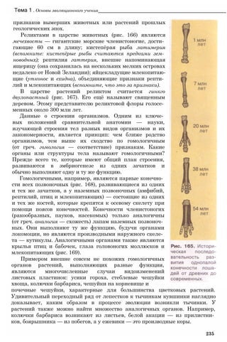 Тема 1 . Основы эволюционного учения___________________________________________________
признаков вымерших животных или растений прошлых
геологических эпох.
Реликтами в царстве животных (рис. 166) являются
мечехвосты — гигантские морские членистоногие, дости­
гающие 60 см в длину; кистепёрая рыба латимерия
(вспомните: кистепёрые рыбы считаются предками зем­
новодных); рептилия гаттерия, внешне напоминающая
ящерицу (она сохранилась на нескольких мелких островах
недалеко от Новой Зеландии); яйцекладущие млекопитаю­
щие (утконос и ехидна), объединяющие признаки репти­
лий и млекопитающих (вспомните, что это за признаки).
В царстве растений реликтом считается гинкго
двулопастный (рис. 167). Его ещё называют священным
деревом. Этому представителю реликтовой флоры голосе­
менных около 300 млн лет.
Данные о строении организмов. Одним из ключе­
вых положений сравнительной анатомии — науки,
изучающей строения тел разных видов организмов и их
закономерности, является принцип: чем ближе родство
организмов, тем выше их сходство по гомологичным
(от греч. гомология — соответствие) признакам. Какие
органы или структуры тела называют гомологичными?
Прежде всего те, которые имеют общий план строения,
развиваются в эмбриогенезе из одних зачатков и
обычно выполняют одну и ту же функцию.
Гомологичными, например, являются парные конечно­
сти всех позвоночных (рис. 168), развивающиеся из одних
и тех же зачатков, а у наземных позвоночных (амфибий,
рептилий, птиц и млекопитающих) — состоящие из одних
и тех же костей, которые крепятся к осевому скелету при
помощи поясов конечностей. Конечности членистоногих
(ракообразных, пауков, насекомых) только аналогичны
(от греч. аналогия — схожесть) лапам наземных позвоноч­
ных. Они выполняют ту же функцию, будучи органами
локомоции, но являются производными наружного скеле­
та — кутикулы. Аналогичными органами также являются
крылья птиц и бабочек, глаза головоногих моллюсков и
млекопитающих (рис. 169).
Примером внешне совсем не похожих гомологичных
органов растений, выполняющих разные функции,
являются многочисленные случаи видоизменений
листовых пластинок: усики гороха, стеблевые чешуйки
хвоща, колючки барбариса, чешуйки на корневище и
почечные чешуйки, характерные для большинства цветковых растений.
Удивительный переходный ряд от лепестков к тычинкам кувшинки наглядно
доказывает, каким образом в процессе эволюции возникли тычинки. У
растений также можно найти множество аналогичных органов. Например,
колючки барбариса возникают из листьев, белой акации — из прилистни­
ков, боярышника — из побегов, а у ежевики — это производные коры.
235
 