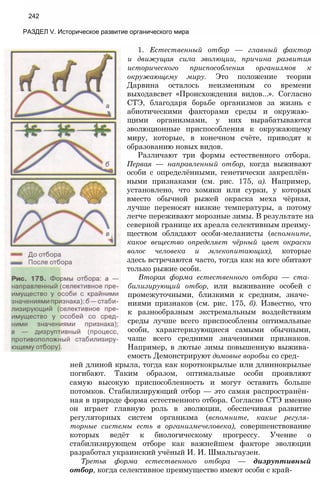242
РАЗДЕЛ V. Историческое развитие органического мира
1. Естественный отбор — главный фактор
и движущая сила эволюции, причина развития
исторического приспособления организмов к
окружающему миру. Это положение теории
Дарвина осталось неизменным со времени
выходавсвет «Происхождения видов...». Согласно
СТЭ, благодаря борьбе организмов за жизнь с
абиотическими факторами среды и окружаю­
щими организмами, у них вырабатываются
эволюционные приспособления к окружающему
миру, которые, в конечном счёте, приводят к
образованию новых видов.
Различают три формы естественного отбора.
Первая — направленный отбор, когда выживают
особи с определёнными, генетически закреплён­
ными признаками (см. рис. 175, а). Например,
установлено, что хомяки или сурки, у которых
вместо обычной рыжей окраска меха чёрная,
лучше переносят низкие температуры, а потому
легче переживают морозные зимы. В результате на
северной границе их ареала селективным преиму­
ществом обладают особи-меланисты (вспомните,
какое вещество определяет чёрный цвет окраски
волос человека и млекопитающих), которые
здесь встречаются часто, тогда как на юге обитают
только рыжие особи.
Вторая форма естественного отбора — ста­
билизирующий отбор, или выживание особей с
промежуточными, близкими к средним, значе­
ниями признаков (см. рис. 175, б). Известно, что
к разнообразным экстремальным воздействиям
среды лучше всего приспособлены оптимальные
особи, характеризующиеся самыми обычными,
чаще всего средними значениями признаков.
Например, в лютые зимы повышенную выжива­
емость Демонстрируют домовые воробьи со сред­
ней длиной крыла, тогда как короткокрылые или длиннокрылые
погибают. Таким образом, оптимальные особи проявляют
самую высокую приспособленность и могут оставить больше
потомков. Стабилизирующий отбор — это самая распространён­
ная в природе форма естественного отбора. Согласно СТЭ именно
он играет главную роль в эволюции, обеспечивая развитие
регуляторных систем организма (вспомните, какие регуля­
торные системы есть в организмечеловека), совершенствование
которых ведёт к биологическому прогрессу. Учение о
стабилизирующем отборе как важнейшем факторе эволюции
разработал украинский учёный И. И. Шмальгаузен.
Третья форма естественного отбора — дизруптивный
отбор, когда селективное преимущество имеют особи с край-
 