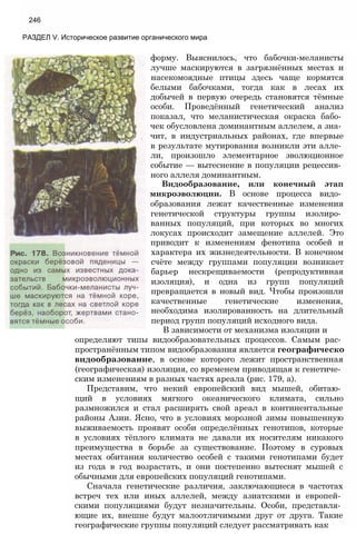 246
РАЗДЕЛ V. Историческое развитие органического мира
форму. Выяснилось, что бабочки-меланисты
лучше маскируются в загрязнённых местах и
насекомоядные птицы здесь чаще кормятся
белыми бабочками, тогда как в лесах их
добычей в первую очередь становятся тёмные
особи. Проведённый генетический анализ
показал, что меланистическая окраска бабо­
чек обусловлена доминантным аллелем, а зна­
чит, в индустриальных районах, где впервые
в результате мутирования возникли эти алле­
ли, произошло элементарное эволюционное
событие — вытеснение в популяции рецессив­
ного аллеля доминантным.
Видообразование, или конечный этап
микроэволюции. В основе процесса видо­
образования лежат качественные изменения
генетической структуры группы изолиро­
ванных популяций, при которых во многих
локусах происходит замещение аллелей. Это
приводит к изменениям фенотипа особей и
характера их жизнедеятельности. В конечном
счёте между группами популяции возникает
барьер нескрещиваемости (репродуктивная
изоляция), и одна из групп популяций
превращается в новый вид. Чтобы произошли
качественные генетические изменения,
необходима изолированность на длительный
период групп популяций исходного вида.
В зависимости от механизма изоляции и
определяют типы видообразовательных процессов. Самым рас­
пространённым типом видообразования является географическо
видообразование, в основе которого лежит пространственная
(географическая) изоляция, со временем приводящая к генетиче­
ским изменениям в разных частях ареала (рис. 179, а).
Представим, что некий европейский вид мышей, обитаю­
щий в условиях мягкого океанического климата, сильно
размножился и стал расширять свой ареал в континентальные
районы Азии. Ясно, что в условиях морозной зимы повышенную
выживаемость проявят особи определённых генотипов, которые
в условиях тёплого климата не давали их носителям никакого
преимущества в борьбе за существование. Поэтому в суровых
местах обитания количество особей с такими генотипами будет
из года в год возрастать, и они постепенно вытеснят мышей с
обычными для европейских популяций генотипами.
Сначала генетические различия, заключающиеся в частотах
встреч тех или иных аллелей, между азиатскими и европей­
скими популяциями будут незначительны. Особи, представля­
ющие их, внешне будут малоотличимыми друг от друга. Такие
географические группы популяций следует рассматривать как
 