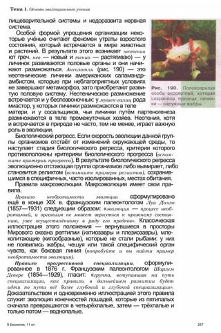 11_b_m_r-яв адлпвад лпчвадж плвджав апччв