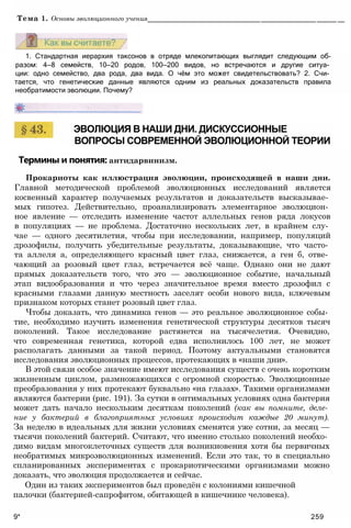 11_b_m_r-яв адлпвад лпчвадж плвджав апччв