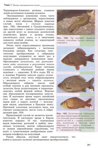 11_b_m_r-яв адлпвад лпчвадж плвджав апччв