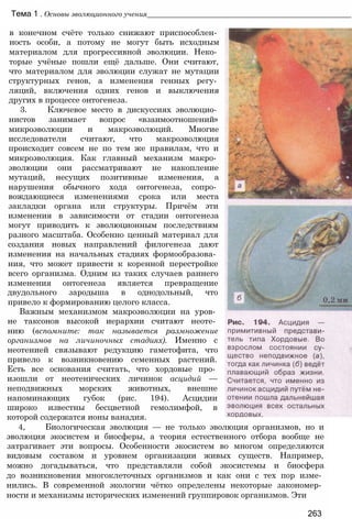 11_b_m_r-яв адлпвад лпчвадж плвджав апччв