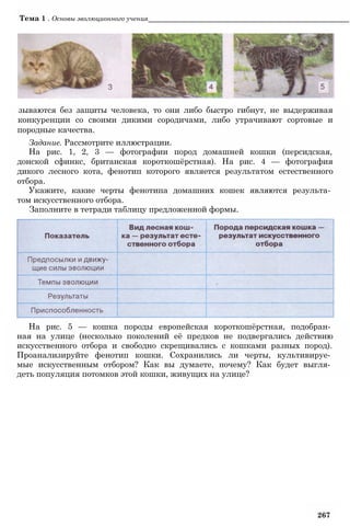 11_b_m_r-яв адлпвад лпчвадж плвджав апччв