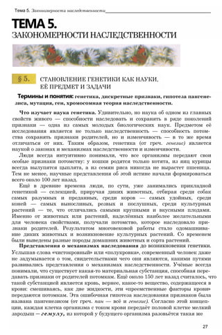 Термины и понятия: генетика, дискретные признаки, гипотеза пангене­
зиса, мутация, ген, хромосомная теория наследственности.
Что изучает наука генетика. Удивительно, но наука об одном из главных
свойств живого — способности наследовать и сохранять в ряде поколений
признаки — одна из самых молодых биологических наук. Предметом её
исследования является не только наследственность — способность потом­
ства сохранять признаки родителей, но и изменчивость — в то же время
отличаться от них. Таким образом, генетика (от греч. генезис) является
наукой о законах и механизмах наследственности и изменчивости.
Люди всегда интуитивно понимали, что все организмы передают свои
особые признаки потомству: у кошки родятся только котята, из яиц курицы
всегда вылупятся цыплята, а из семян риса никогда не вырастет пшеница.
Тем не менее, научные представления об этой истине начали формироваться
всего около 100 лет назад.
Ещё в древние времена люди, по сути, уже занимались прикладной
генетикой — селекцией, приручая диких животных, отбирая среди собак
самых разумных и преданных, среди коров — самых удойных, среди
коней — самых выносливых, резвых и послушных, среди культурных
растений — те, что отличались самыми крупными и вкусными плодами.
Именно от животных или растений, наделённых наиболее желательными
для человека свойствами, получали потомство, которое наследовало при­
знаки родителей. Результатом многовековой работы стало одомашнива­
ние диких животных и возникновение культурных растений. Со временем
были выведены разные породы домашних животных и сорта растений.
Представления о механизмах наследования до возникновения генетики.
Услышав слова «чистокровный» или «полукровка», современный человек даже
не задумывается о том, свидетельствами чего они являются, какими путями
развивались представления о механизмах наследственности. Учёные всегда
понимали, что существует какая-то материальная субстанция, способная пере­
давать признаки от родителей потомкам. Ещё около 150 лет назад считалось, что
такой субстанцией является кровь, вернее, какое-то вещество, содержащееся в
крови: смешиваясь, как две жидкости, эти «преемственные факторы крови»
передаются потомкам. Эта ошибочная гипотеза наследования признаков была
названа пангенезисом (от греч. пан — всё и генезис). Согласно этой концеп­
ции, каждая клетка организма с током крови передаёт половой клетке мелкий
зародыш — гемулу, из которой у будущего организма разовьётся такая же
27
СТАНОВЛЕНИЕ ГЕНЕТИКИ КАК НАУКИ,
ЕЁ ПРЕДМЕТ И ЗАДАЧИ
ТЕМА5.
ЗАКОНОМЕРНОСТИНАСЛЕДСТВЕННОСТИ
Тема 5. Закономерности наследственности___________________________________________
 