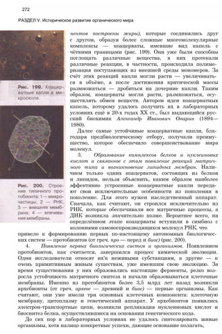 11_b_m_r-яв адлпвад лпчвадж плвджав апччв