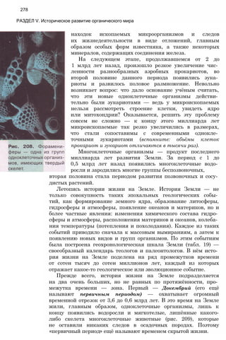 11_b_m_r-яв адлпвад лпчвадж плвджав апччв