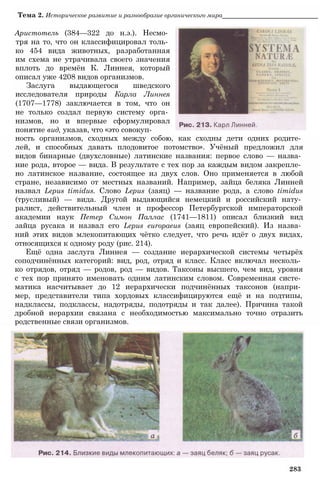 11_b_m_r-яв адлпвад лпчвадж плвджав апччв