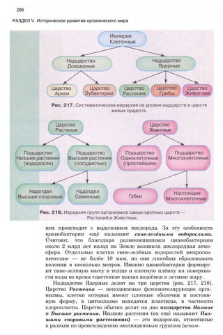 11_b_m_r-яв адлпвад лпчвадж плвджав апччв