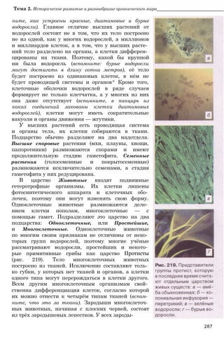 11_b_m_r-яв адлпвад лпчвадж плвджав апччв