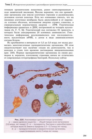 11_b_m_r-яв адлпвад лпчвадж плвджав апччв