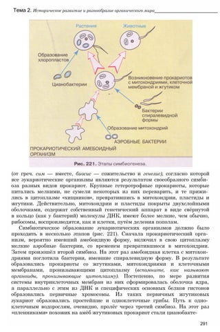 11_b_m_r-яв адлпвад лпчвадж плвджав апччв