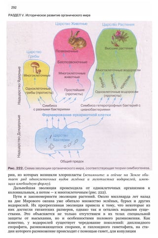 11_b_m_r-яв адлпвад лпчвадж плвджав апччв