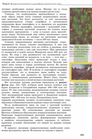 11_b_m_r-яв адлпвад лпчвадж плвджав апччв