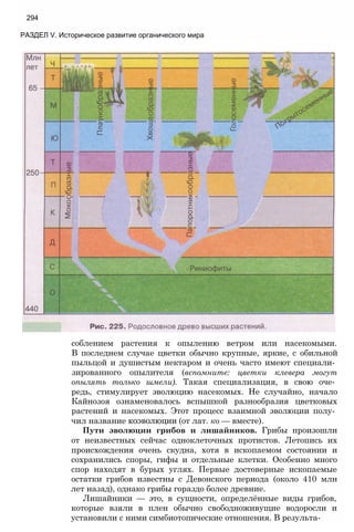 11_b_m_r-яв адлпвад лпчвадж плвджав апччв