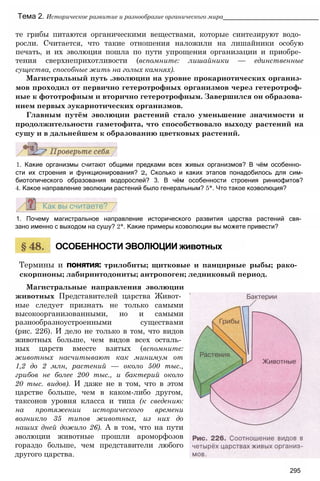 11_b_m_r-яв адлпвад лпчвадж плвджав апччв