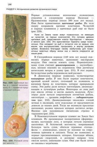 11_b_m_r-яв адлпвад лпчвадж плвджав апччв