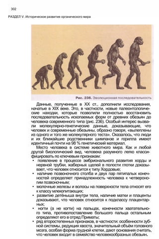 11_b_m_r-яв адлпвад лпчвадж плвджав апччв