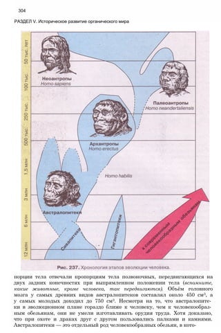 11_b_m_r-яв адлпвад лпчвадж плвджав апччв