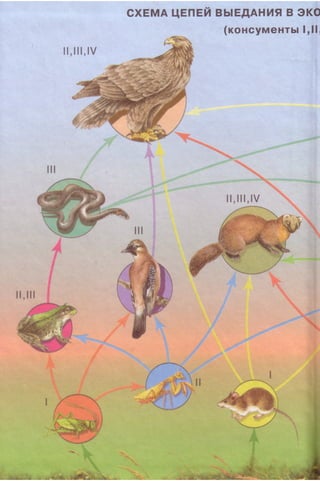 11_b_m_r-яв адлпвад лпчвадж плвджав апччв