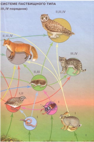 11_b_m_r-яв адлпвад лпчвадж плвджав апччв