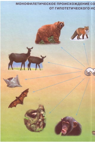 11_b_m_r-яв адлпвад лпчвадж плвджав апччв