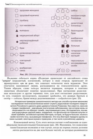 Название собачьего корма «Педигри» происходит от английского слова
"pedigree" (породистый, племенной), которое в свою очередь происходит От
французского «pie de grue», что означает «отпечаток ноги журавля». Этот
отпечаток напоминает линии, расходящиеся на генеалогическом древе.
Tаким образом, слово педигри является термином, которым в генетике
животных обозначают понятие «родословная». При построении родослов­
ных используют и другие термины: того, для кого составляют родословную,
то есть главного исследуемого, называют пробандом, его родных братьев и
сестёр — сибсами, браки между родственниками — инбридингом (рис. 25).
Интересным примером генеалогического метода как способа изучения механизма
наследования генетической болезни может служить родословная последнего предста-
вителя Российского царского дома царевича Алексея Романова. Как известно, мальчик
страдал гемофилией — редчайшим генетическим заболеванием, при котором кровь не
сворачивается и не образует тромба, закупоривающего рану. Исследователи, изучав-
шие рсдословную царской семьи, определили, что фатальный ген Алексей получил от
своей прабабки, английской королевы Виктории, которая, не будучи больной, носила в
своём генотипе гены, вызывающие гемофилию. Эти гены Виктория передала одному из
своих сыновей, некоторым внукам и правнукам, в том числе и российскому царевичу.
Близнецовый метод. Суть этого метода состоит в наблюдении за одно-
яйцевыми (монозиготными) близнецами (рис. 26). Напомним, что появление
такихблизнецов возможно в том случае, когда на первых этапах деления
зигота распадается на две или больше частей, из которых развиваются
35
Тема 5 Закономерности наследственности __________________________________________________
 