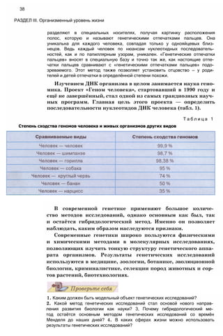 1. Каким должен быть модельный объект генетических исследований?
2. Какой метод генетических исследований стал основой нового направ­
ления развития биологии как науки? 3, Почему гибридологический ме­
тод остаётся основным методом генетических исследований со времён
Менделя до наших дней? 4. В каких сферах жизни можно использовать
результаты генетических исследований?
В современной генетике применяют большое количе­
ство методов исследований, однако основным как был, так
и остаётся гибридологический метод. Именно он позволяет
наблюдать, каким образом наследуются признаки.
Современные генетики широко пользуются физическими
и химическими методами в молекулярных исследованиях,
позволяющих изучить тонкую структуру генетического аппа­
рата организмов. Результаты генетических исследований
используются в медицине, зоологии, ботанике, эволюционной
биологии, криминалистике, селекции пород животных и сор­
тов растений, биотехнологиях.
разделяют в специальных носителях, получая картинку расположения
полос, которую и называют генетическими отпечатками пальцев. Она
уникальна для каждого человека, совпадая только у однояйцевых близ­
нецов. Ведь каждый человек по нюансам нуклеотидных последователь­
ностей, как и по папиллярным узорам, уникален. «Генетические отпечатки
пальцев» вносят в специальную базу и точно так же, как настоящие отпе­
чатки пальцев сравнивают с «генетическими отпечатками пальцев» подо­
зреваемого. Этот метод также позволяет установить отцовство — у роди­
телей и детей отпечатки в определённой степени похожи.
Изучением ДНК организма в целом занимается наука гено­
мика. Проект «Геном человека», стартовавший в 1990 году и
ещё не завершённый, стал одной из самых грандиозных науч­
ных программ. Главная цель этого проекта — определить
последовательности нуклеотидов ДНК человека (табл. 1).
Т а б л и ц а 1
Степень сходства геномов человека и живых организмов других видов
38
РАЗДЕЛ III. Организменный уровень жизни
 
