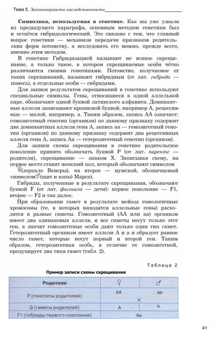 Символика, используемая в генетике. Как мы уже узнали
из предыдущего параграфа, основным методом генетики был
и остаётся гибридологический. Это связано с тем, что главный
вопрос генетики — механизм передачи признаков родитель­
ских форм потомству, а исследовать его можно, прежде всего,
именно этим методом.
В генетике Гибридизацией называют не всякое скрещи­
вание, а только такое, в котором скрещиваемые особи чётко
различаются своими генотипами. Потомство, получаемое от
таких скрещиваний, называют гибридным (от лат. гибрида —
помесь), а отдельные особи — гибридами.
Для записи результатов скрещиваний в генетике используют
специальные символы. Гены, относящиеся к одной аллельной
паре, обозначают одной буквой латинского алфавита. Доминант­
ные аллели записывают прописной буквой, например А, рецессив­
ные — малой, например, а. Таким образом, запись АА означает:
гомозиготный генотип (организм) по данному признаку содержит
два доминантных аллеля гена А, запись аа — гомозиготный гено­
тип (организм) по данному признаку содержит два рецессивных
аллеля гена А, запись Аа — гетерозиготный генотип (организм).
Для записи схемы скрещивания в генетике родительское
поколение принято обозначать буквой Р (от лат. парентс —
родители), скрещивание — знаком X. Записывая схему, на
первое место ставят женский пол, который обозначают символом
(зеркало Венеры), на второе — мужской, обозначаемый
символом (щит и копьё Марса).
Гибриды, полученные в результате скрещивания, обозначают
буквой F (от лат. филиала — дети): первое поколение — F1,
второе — F2 и так далее.
При образовании гамет в результате мейоза гомологичные
хромосомы (те, в которых находятся аллельные гены) расхо­
дятся в разные гаметы. Гомозиготный (АА или аа) организм
имеет два одинаковых аллеля, и все гаметы несут только этот
ген, а значит гомозиготные особи дают только один тип гамет.
Гетерозиготный организм имеет аллели А и а и образует равное
число гамет, которые несут первый и второй ген. Таким
образом, гетерозиготная особь, в отличие от гомозиготной,
продуцирует два типа гамет (табл. 2).
Т а б л и ц а 2
Пример записи схемы скрещивания
Тема 5. Закономерности наследственности_______________________________
41
 