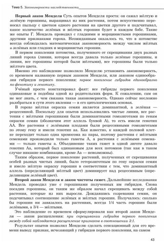 Первый закон Менделя Суть опытов Менделя проста: он сажал жёлтую и
зелёную горошины, выращивал из них растения, потом искусственно пере­
носил пыльцу с цветков одного растения на цветки другого и подсчитывал,
какое количество зелёных и жёлтых горошин будет в каждом бобе. Такие
же опыты Г. Мендель проводил с гладкими и морщинистыми горошинами,
другими признаками гороха. Неожиданным оказалось то, что в потомстве
всегда соблюдалась математическая закономерность между числом жёлтых
и зелёных или гладких и морщинистых горошин.
В первом поколении потомства, полученного от скрещивания двух разных
линий гороха (линии, которая всегда давала только зелёные горошины, и
линии, все горошины которой были жёлтыми), все горошины были только
жёлтого цвета.
Именно это наблюдение позволило Менделю установить закономерность,
со временем названную первым законом Менделя, или законом единообра­
зия гибридов первого поколения: первое поколение гибридов единообразно
по фенотипу и генотипу.
Учёный просто констатировал факт: все гибриды первого поколения
одинаковые и подобны одной из родительских форм. К сожалению, сам он
не мог знать, с чем связана такая закономерность. Однако сейчас несложно
разобраться в сути этого явления — в его цитологических основах.
В горохе жёлтая окраска семян является доминантной, а зелёная —
рецессивной. Поскольку для опытов использовались чистые линии, все рас­
тения с жёлтыми горошинами были доминантными гомозиготами по генам
окраски семян (обозначим этот аллель буквой А), то есть имели генотип
АА. Все растения с зелёными плодами были рецессивными гомозиготами
по этому гену и имели генотип аа. Как известно, к каждой половой клет­
ке переходит только одна хромосома из пары, поэтому растения с жёлтыми
семенами производили только гаметы А, а растения с зелёными семена­
ми — только гаметы а. Объединение таких гамет в одной зиготе давало
генотип Аа, который был одинаковым для всех потомков (так как в таком
случае никакие комбинации, кроме Аа — невозможны).
Таким образом, первое поколение растений, полученных от скрещивания
особей разных чистых линий, было гетерозиготным по гену окраски семян
и имело жёлтую окраску горошин в соответствии с тем, что доминантный
аллель (определяющий жёлтый цвет) доминирует над рецессивным (опре­
деляющим зелёный цвет).
Второй закон Менделя и закон чистоты гамет. Дальнейшие исследования
Мендель проводил уже с горошинами полученных им гибридов. Снова
посадив горошины, он таким же образом начал скрещивать между собой
растения, которые из них выросли. Дождавшись созревания семян, он
подсчитывал соотношение зелёных и жёлтых горошин. Получалось: сколько
бы горошин ни завязалось на растениях, всегда 1/4 часть горошин были
зелёными, а 3/4 — жёлтыми.
Это наблюдение со временем сформулировали как второй закон Менде­
ля — закон расщепления: при скрещивании гибридов первого поколения
между собой наблюдается расщепление признаков в соотношении 3:1.
Результат опытов позволил Менделю сделать сенсационный для его вре­
мени вывод: признак, исчезающий у гибридов первого поколения, на самом
Тема 5. Закономерности наследственности_______________________________________________
43
 