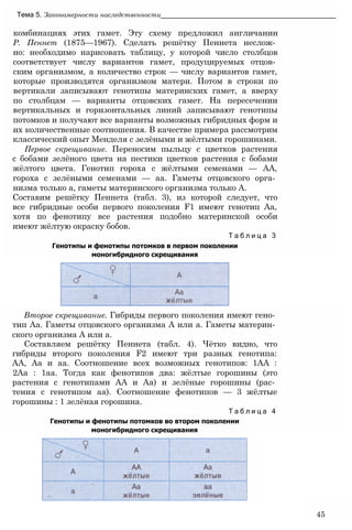 комбинациях этих гамет. Эту схему предложил англичанин
Р. Пеннет (1875—1967). Сделать решётку Пеннета неслож­
но: необходимо нарисовать таблицу, у которой число столбцов
соответствует числу вариантов гамет, продуцируемых отцов­
ским организмом, а количество строк — числу вариантов гамет,
которые производятся организмом матери. Потом в строки по
вертикали записывают генотипы материнских гамет, а вверху
по столбцам — варианты отцовских гамет. На пересечении
вертикальных и горизонтальных линий записывают генотипы
потомков и получают все варианты возможных гибридных форм и
их количественные соотношения. В качестве примера рассмотрим
классический опыт Менделя с зелёными и жёлтыми горошинами.
Первое скрещивание. Переносим пыльцу с цветков растения
с бобами зелёного цвета на пестики цветков растения с бобами
жёлтого цвета. Генотип гороха с жёлтыми семенами — АА,
гороха с зелёными семенами — аа. Гаметы отцовского орга­
низма только а, гаметы материнского организма только А.
Составим решётку Пеннета (табл. 3), из которой следует, что
все гибридные особи первого поколения F1 имеют генотип Аа,
хотя по фенотипу все растения подобно материнской особи
имеют жёлтую окраску бобов.
Т а б л и ц а 3
Генотипы и фенотипы потомков в первом поколении
моногибридного скрещивания
Тема 5. Закономерности наследственности_____________________________________________
Второе скрещивание. Гибриды первого поколения имеют гено­
тип Аа. Гаметы отцовского организма А или а. Гаметы материн­
ского организма А или а.
Составляем решётку Пеннета (табл. 4). Чётко видно, что
гибриды второго поколения F2 имеют три разных генотипа:
АА, Аа и аа. Соотношение всех возможных генотипов: 1АА :
2Аа : 1аа. Тогда как фенотипов два: жёлтые горошины (это
растения с генотипами АА и Аа) и зелёные горошины (рас­
тения с генотипом аа). Соотношение фенотипов — 3 жёлтые
горошины : 1 зелёная горошина.
Т а б л и ц а 4
Генотипы и фенотипы потомков во втором поколении
моногибридного скрещивания
45
 