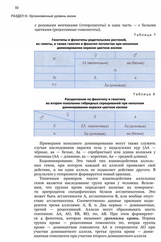 с розовыми венчиками (гетерозиготы) и одна часть — с белыми
цветками (рецессивные гомозиготы).
Т а б л и ц а 7
Генотипы и фенотипы родительских растений,
их гаметы, а также генотип и фенотип потомства при неполном
доминировании окраски цветков космеи
50
РАЗДЕЛ III. Организменный уровень жизни
Т а б л и ц а 8
Расщепление по фенотипу и генотипу
во втором поколении гибридных скрещиваний при неполном
доминировании окраски цветков космеи
Примерами неполного доминирования могут также служить
случаи наследования окраски тела у андалузских кур (АА —
чёрные, аа — белые, Аа — серебристые) или длина колосьев у
пшеницы (АА — длинные, аа — короткие, Аа — средней длины).
Кодоминирование. Это такой тип взаимодействия аллель­
ных генов, при котором каждый из аллелей проявляет своё
действие, и ни один аллель не подавляет действие другого. В
результате у гетерозигот формируется новый признак.
Типичным примером такого взаимодействия аллельных
генов является наследование групп крови у человека. Вспом­
ним, что группы крови определяет наличие на поверхнос­
ти эритроцитов специфических белков агглютиногенов. Это
может быть агглютиноген А, агглютиноген В, или вообще отсут­
ствие агглютиногена. Соответственно данные признаки коди­
руются тремя аллелями: А, В, 0. Два первых — доминантные,
третий — рецессивный. Аллели могут образовывать шесть
генотипов: АА, АО, ВВ, ВО, 00, АВ. При этом формируют­
ся 4 фенотипа, которые называют группами крови. Первая
группа крови — рецессивная гомозигота 00, вторая группа
крови — доминантная гомозигота АА и гетерозигота АО при
участии доминантного аллеля, третья группа крови — доми­
нантная гомозигота при участии второго доминантного аллеля
 